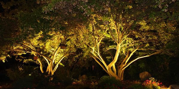 Outdoor Lighting by Marlborough Turf Professionals