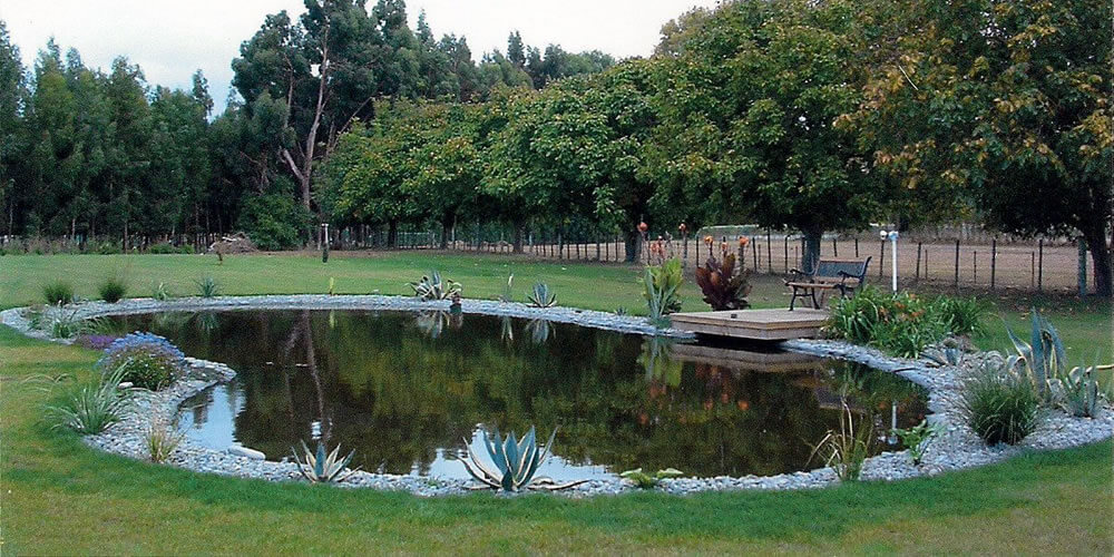 Ponds & Water Features | Marlborough Turf Professionals | Springlands ...