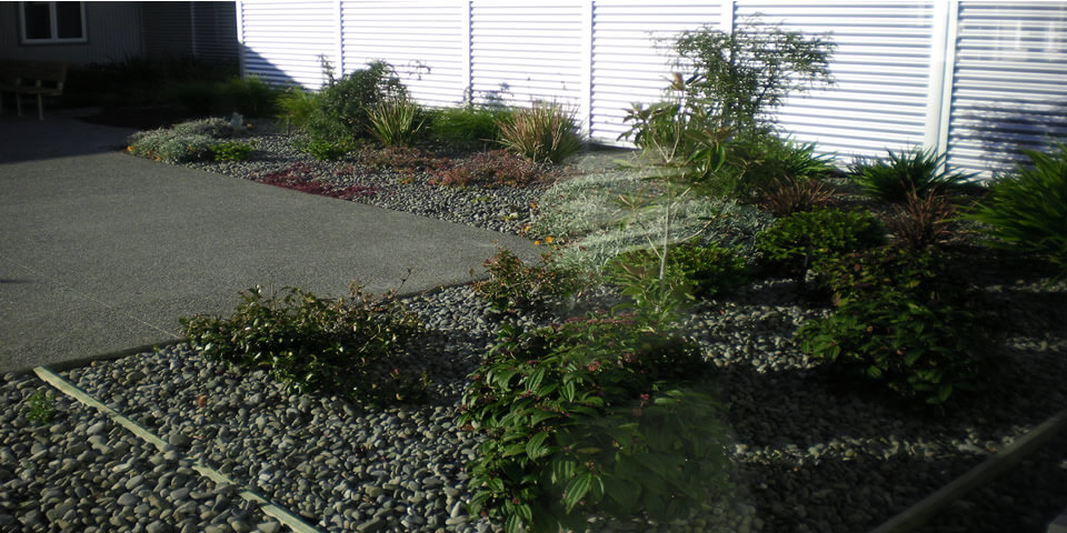 12 months after Wairau Hospital outdoor renovation.